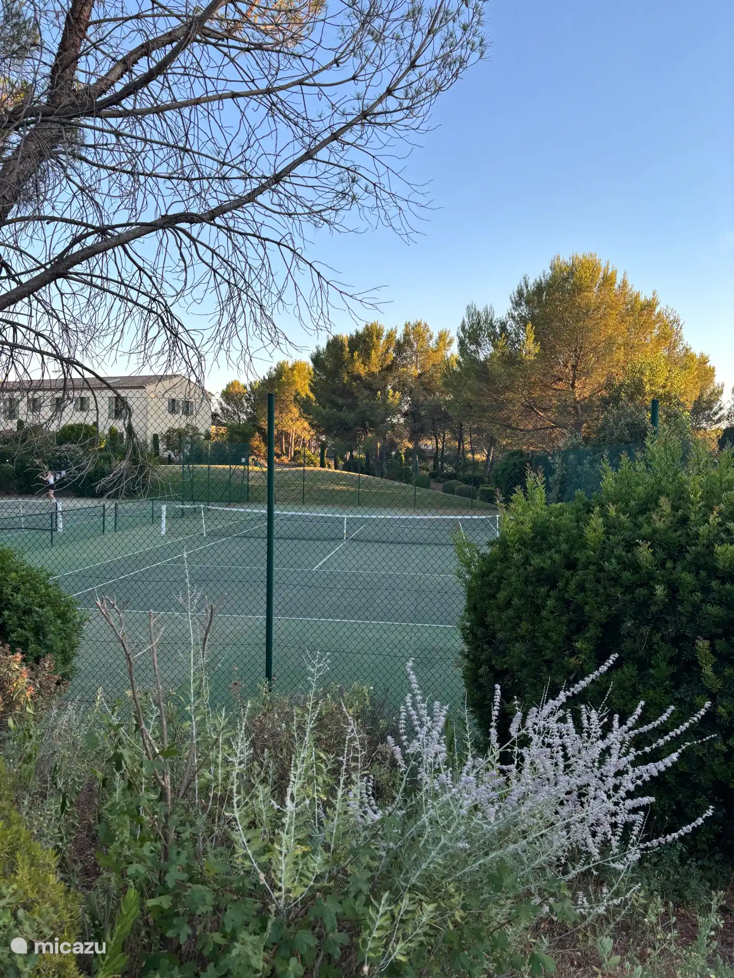 2 pistas duras de tenis 