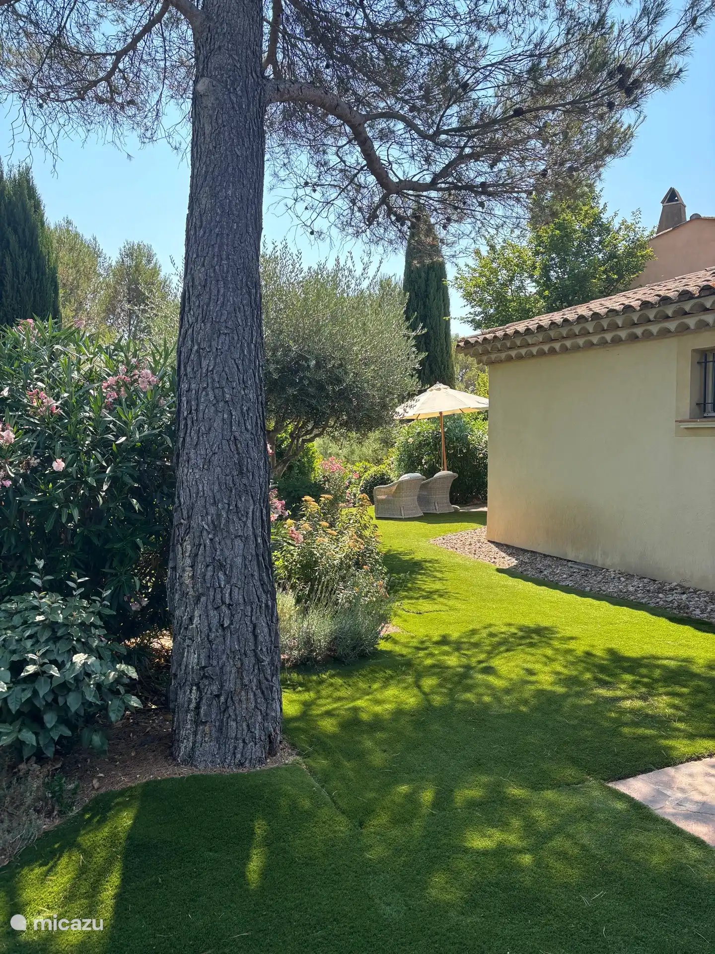 Jardin avec ombre 