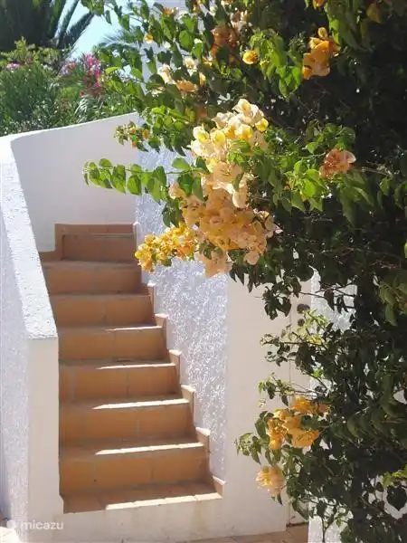 Escaleras a la terraza de la azotea para el último sol del día.