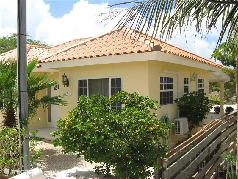 The front and side view of the house
