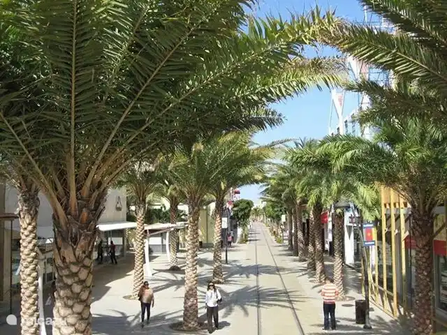 casa vacacional en Aruba, Norte, Tanki Leendert – Casa de vacaciones Bon Bini La calle comercial ha sido completamente renovada y hecha libre de automóviles.