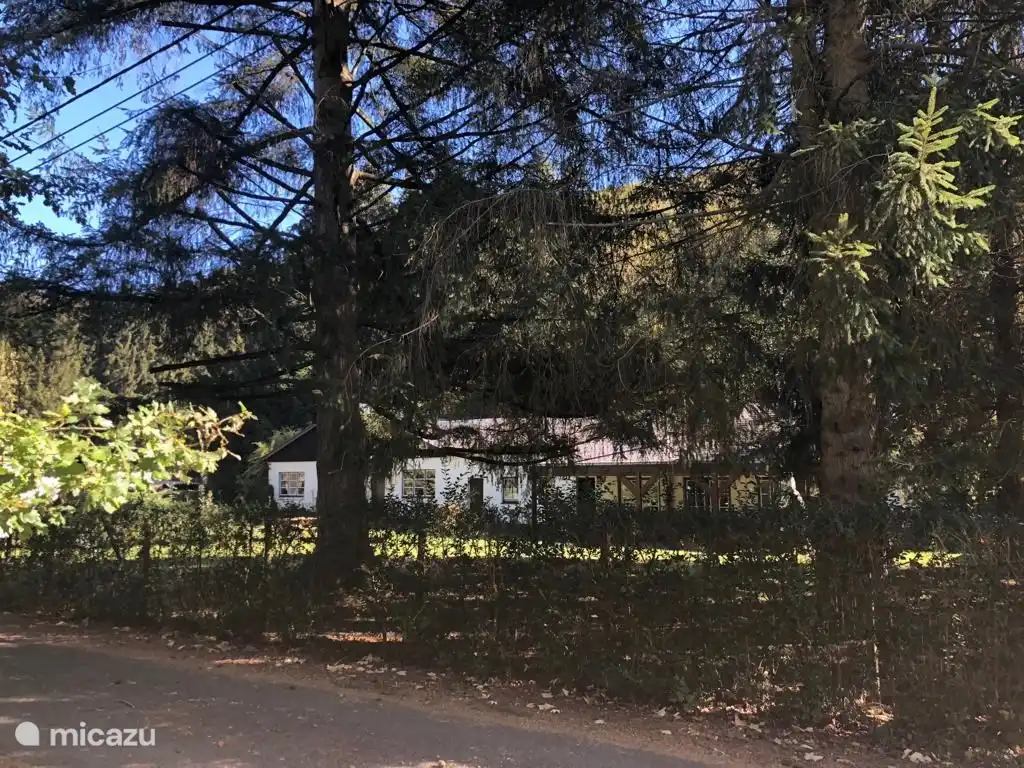 Blick von der Straße