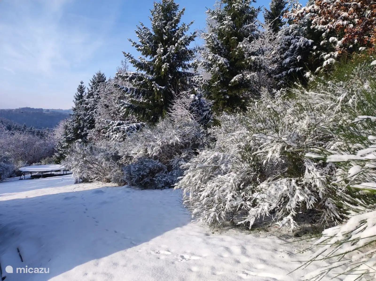 Schnee in unserem Garten. 