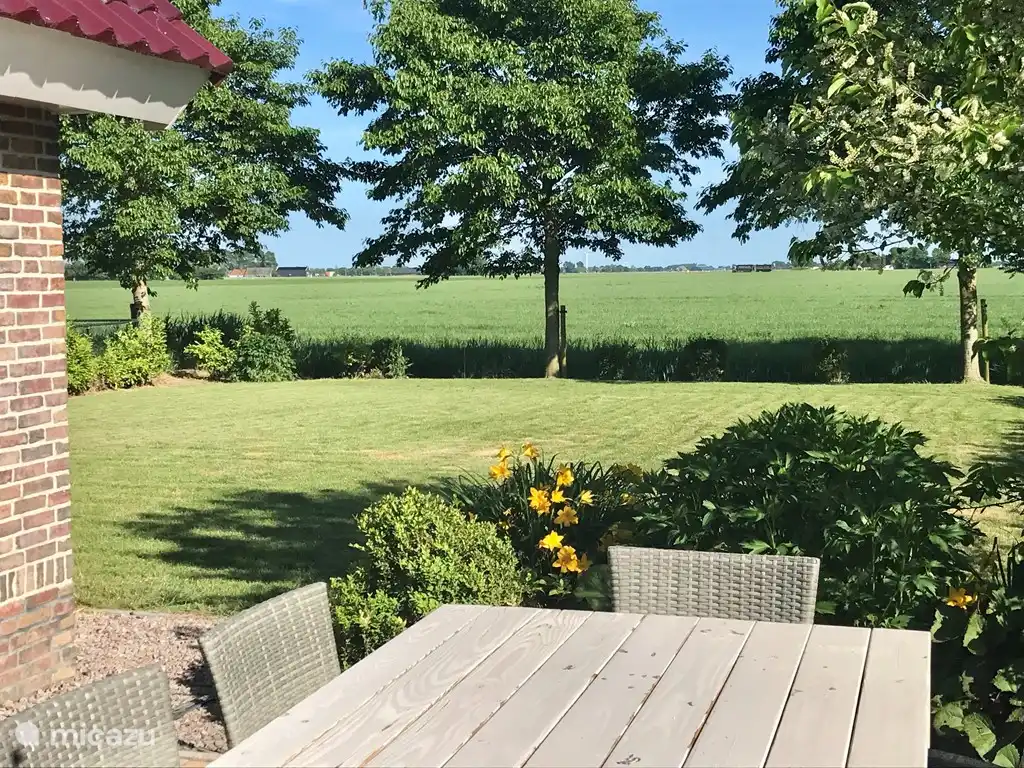 Vista desde la terraza