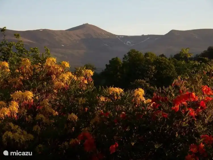 Vue sur les Monts des Géants depuis notre rue.