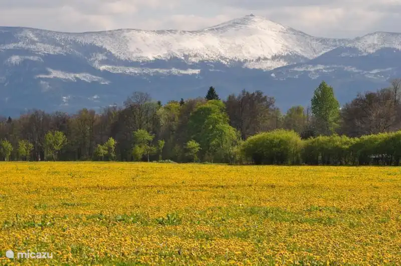 Montagne Snowcap au printemps