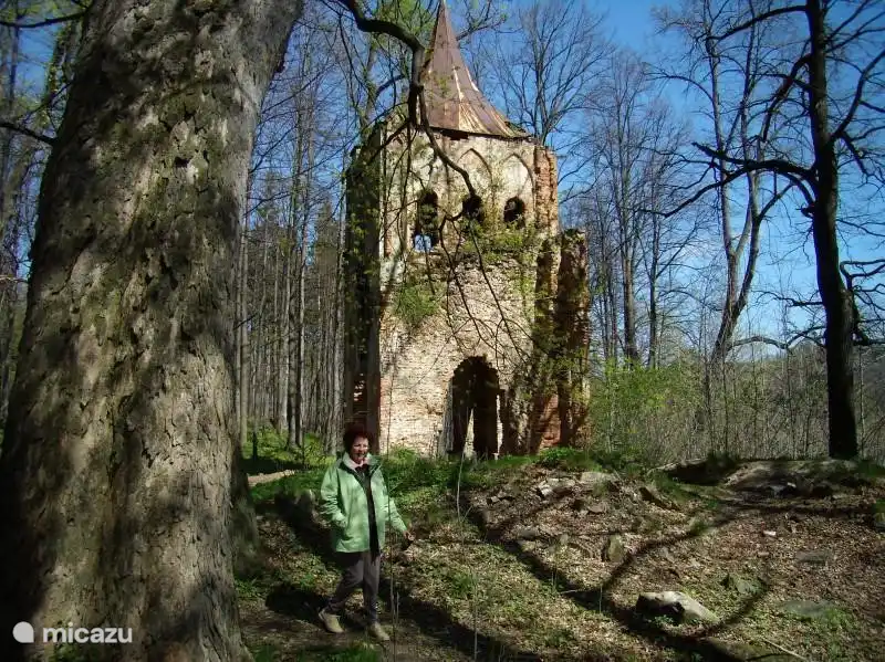 La ruine romantique de l'abbaye de Bukowiec