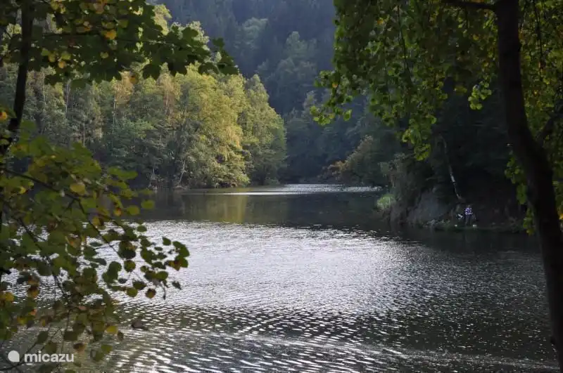 Ici aussi, les étangs ne manquent pas