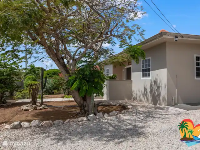 Maison Tropicale Salina | Curaçao, Curaçao-Centre, Willemstad - maison de vacances Cour avant tropicale
