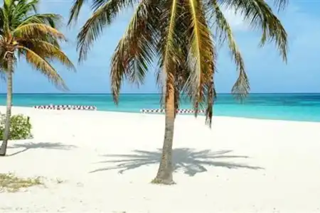 Vakantiehuis Curaçao, Banda Ariba (oost), Seru Coral appartement Resort Seru Coral Beach op 7 min afstand