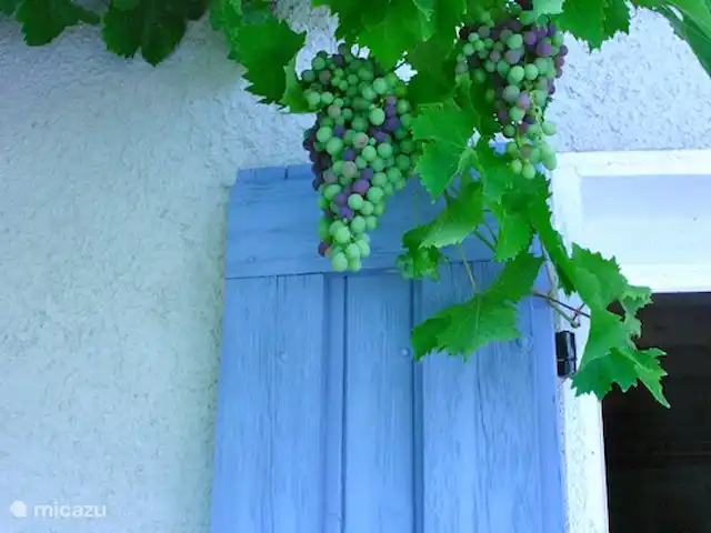 Etage Le Mas de Saint-Ferreol en Francia, Drôme, Menglon - apartamento Uvas debajo de la pérgola