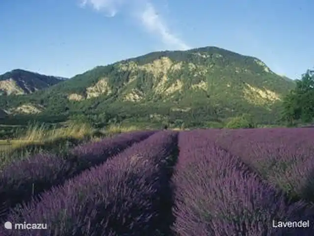 Etage Le Mas de Saint-Ferreol en Francia, Drôme, Menglon - apartamento campo de lavanda