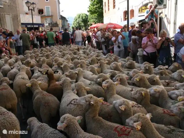 Etage Le Mas de Saint-Ferreol en Francia, Drôme, Menglon - apartamento La trashumancia en Die; las ovejas son llevadas a las montañas. Fiesta en Die.