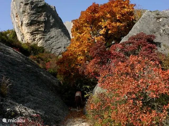 Etage Le Mas de Saint-Ferreol en Francia, Drôme, Menglon - apartamento Los aplausos en el otoño.
