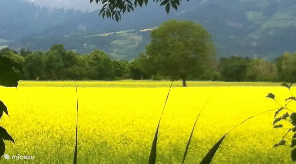 Voorjaar bij ons om de hoek