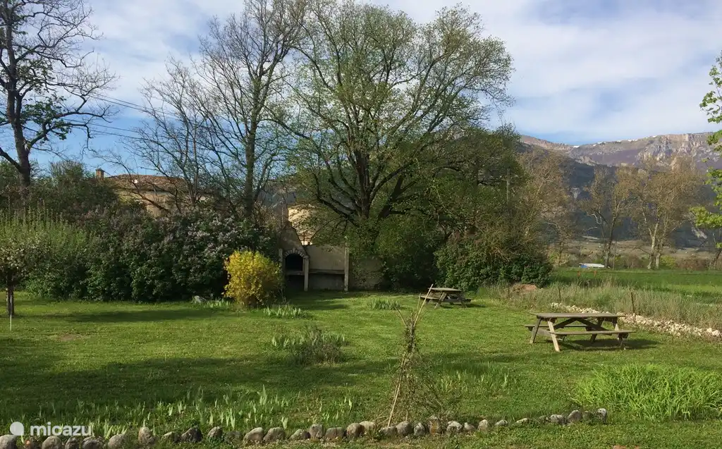 Noordelijke tuin met barbecue en picknicktafels
