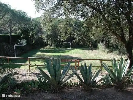 sowie die Fußballplatz