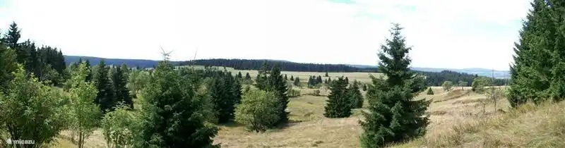 Panorama-Foto der Umgebung