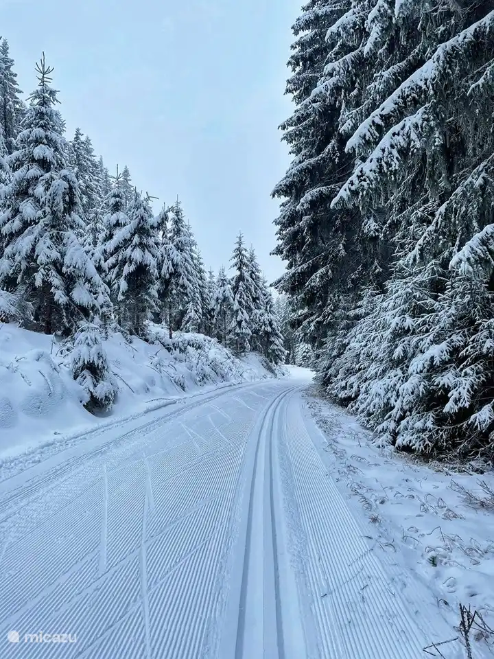 Langlaufloipe Skimagistrale. Es gibt mehr als 180 km Loipen, die mit dem Krušné hory Magistrale (deutsch: Skimagistrale Erzgebirge) verbunden sind. Eine Langlaufloipe, die über die gesamte Länge des Erzgebirges sowohl auf tschechischem als auch auf deutschem Gebiet verläuft.