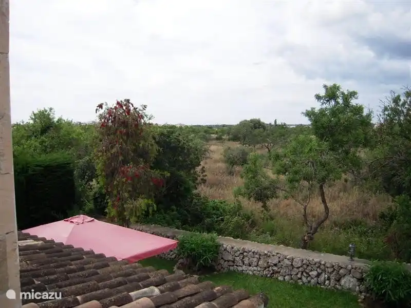 Blick vom Balkon auf der Almond Orchard