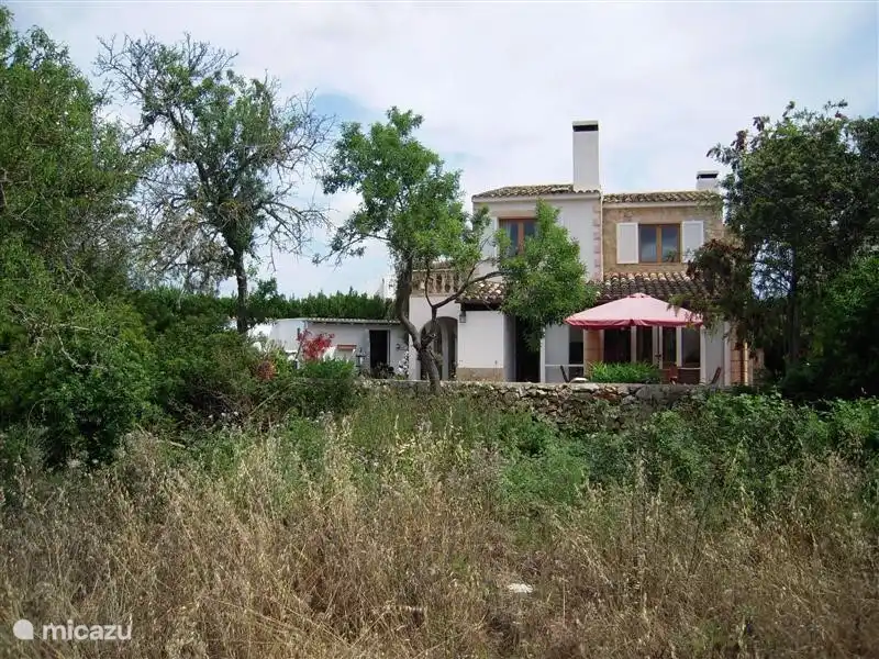 Großzügige, moderne Villa mit 4 Schlafzimmern und 3 Bädern in Sa Coma, nur wenige Gehminuten vom Strand entfernt in einer einzigartigen Lage am Rande eines Wohngebietes mit viel Privatsphäre. Der schöne Garten blickt auf eine Mandel Obstgarten.