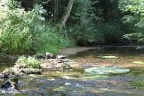 Das Gebiet ist geprägt von zahlreichen Bächen