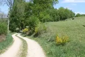 Direkt vom Haus und vom Dorf aus können Sie schöne Wanderungen in die ländliche Umgebung unternehmen