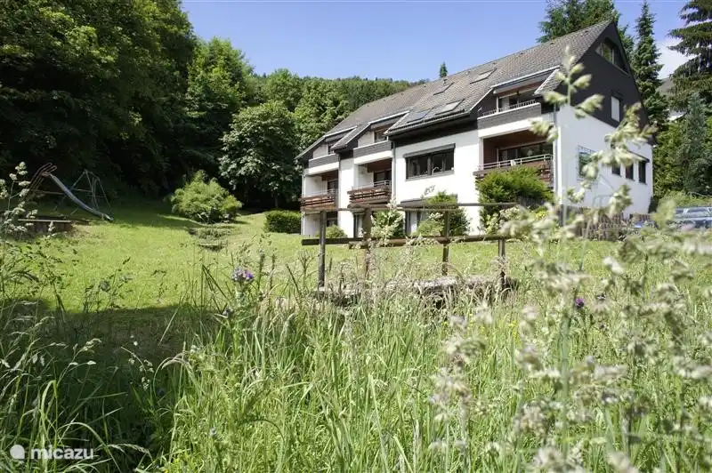 Hochsauerland Elpe Waldblick