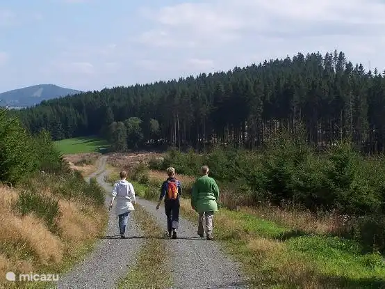 Wandern in der Region