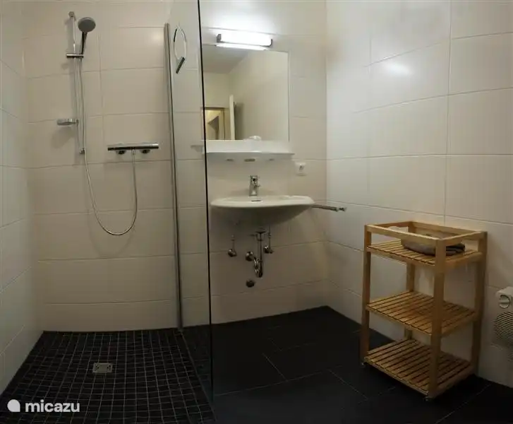 Das luxuriöse Badezimmer (2014) hat eine große Dusche