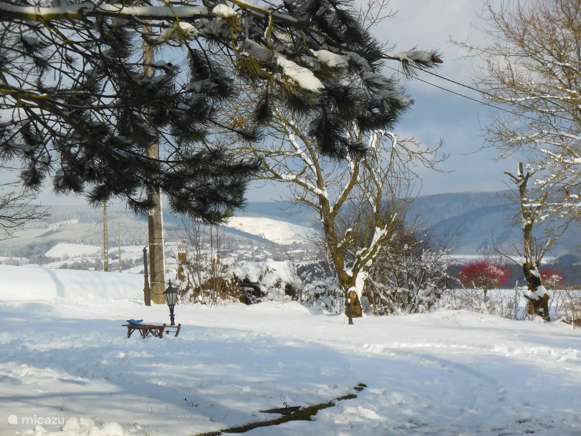 Winterliche Pracht (3)