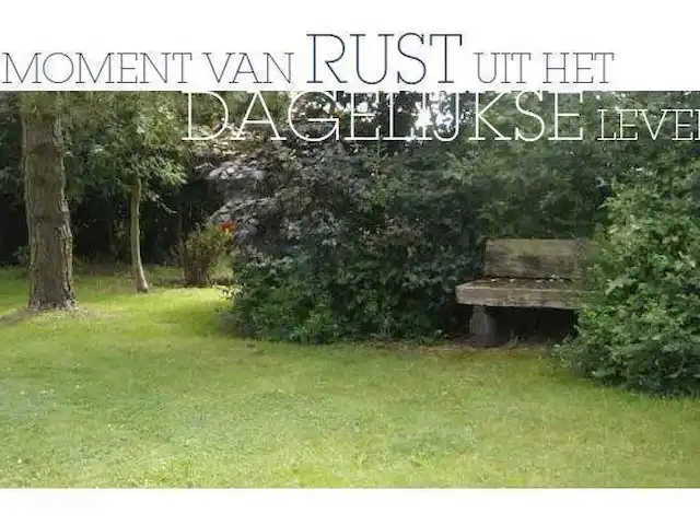 Location de Vacances Belgique, Ardennes, Halleux, chalet - Chalet Riethoven prospectus