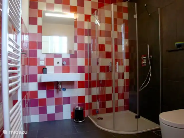 Grieta de Van Dam en Países Bajos, Frise, Oosterbierum - casa vacacional Este baño está justo al lado de una habitación doble. La cama doble se puede convertir en dos finas camas individuales.