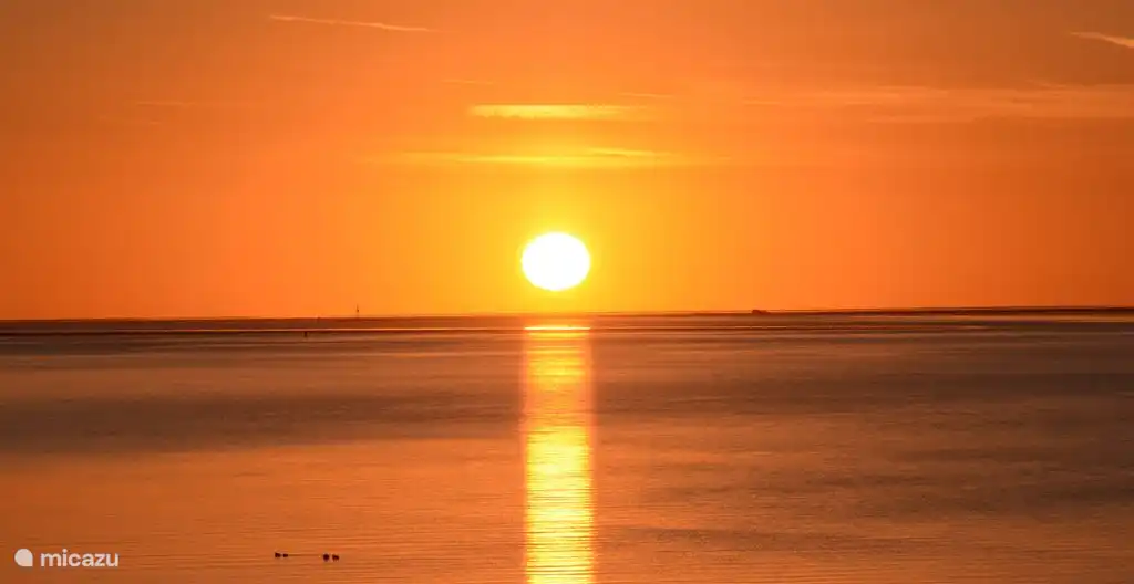 Vom Waddendijk aus haben Sie eine wunderschöne Aussicht auf das größte Feuchtnaturschutzgebiet Westeuropas, das Wattenmeer.