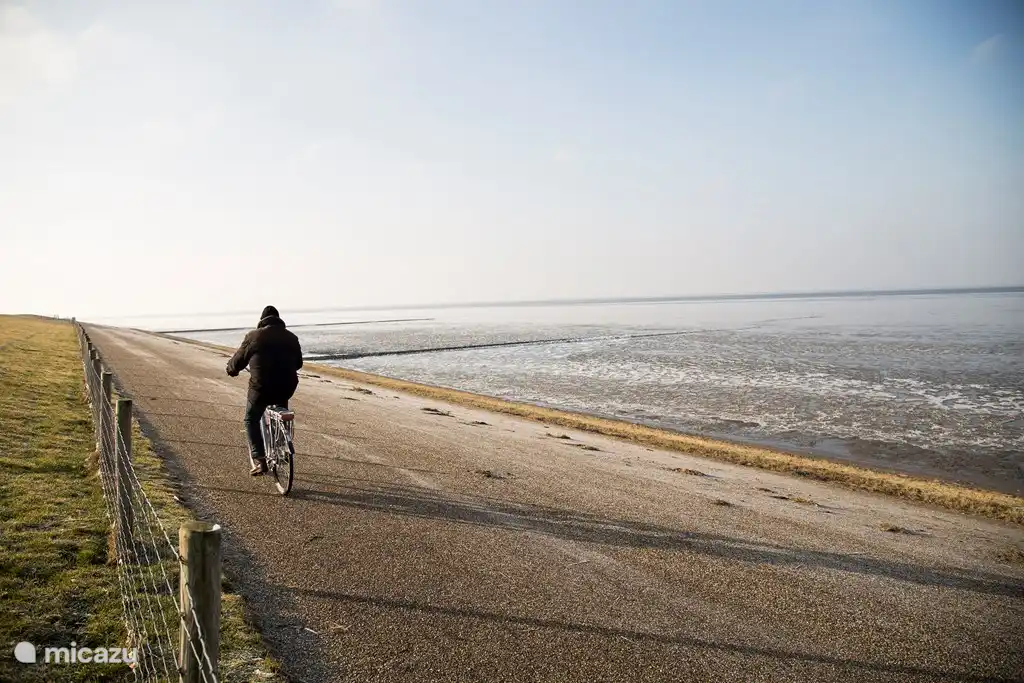Radfahren entlang der Ufermauer mit Blick auf das Wattenmeer.