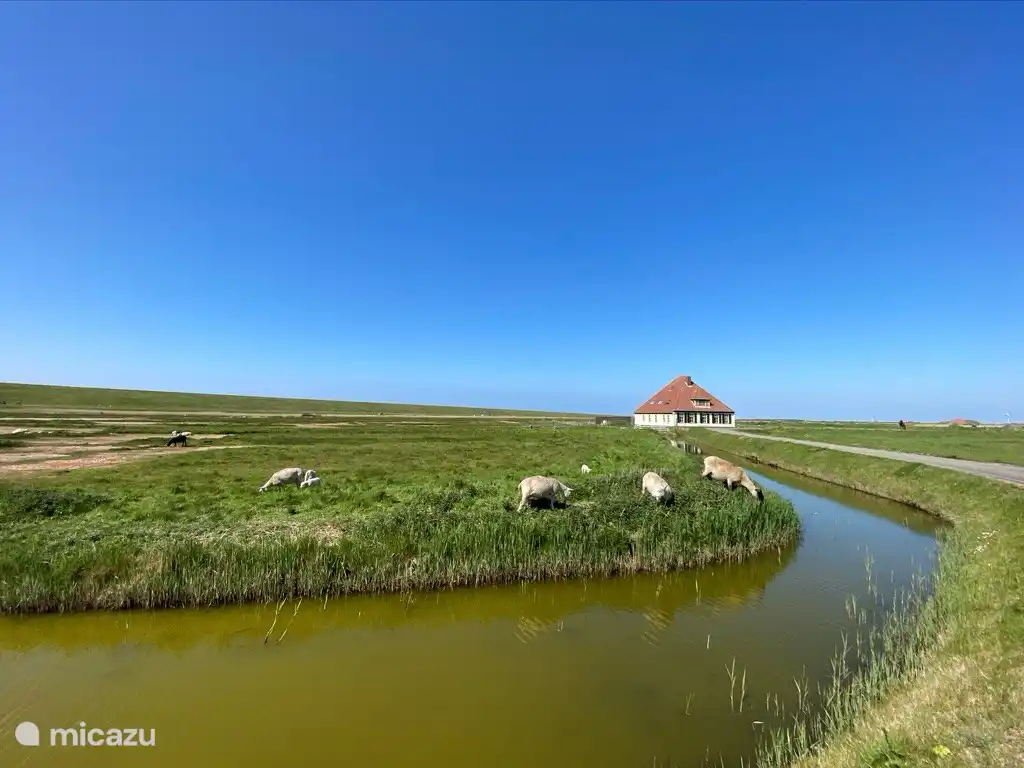 Et prenez le vélo ! Belles pistes cyclables avec de belles images ....