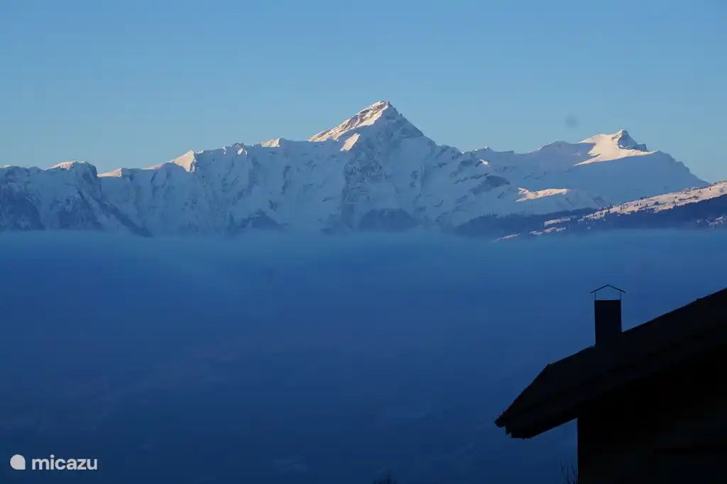 Die Aussicht vom Balkon ändert sich ständig