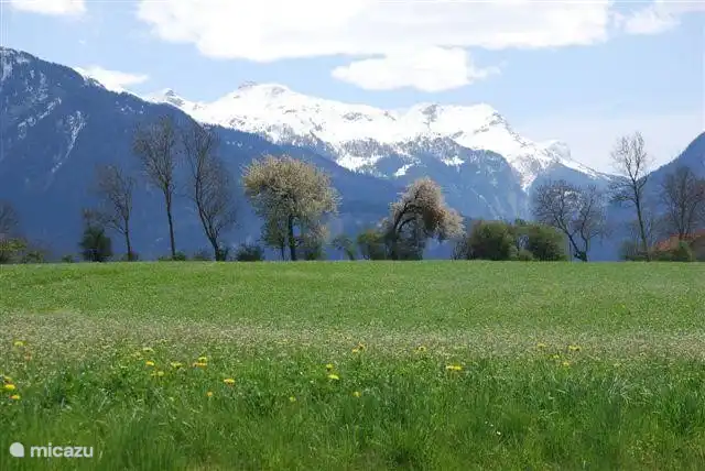 nur ein Stück Wiese in Scheid