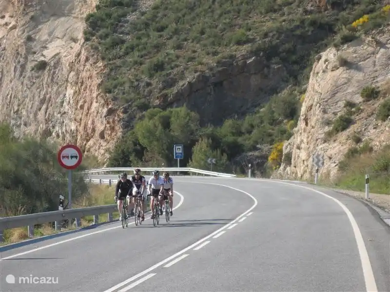 Für Ihre sportliche Herausforderung!