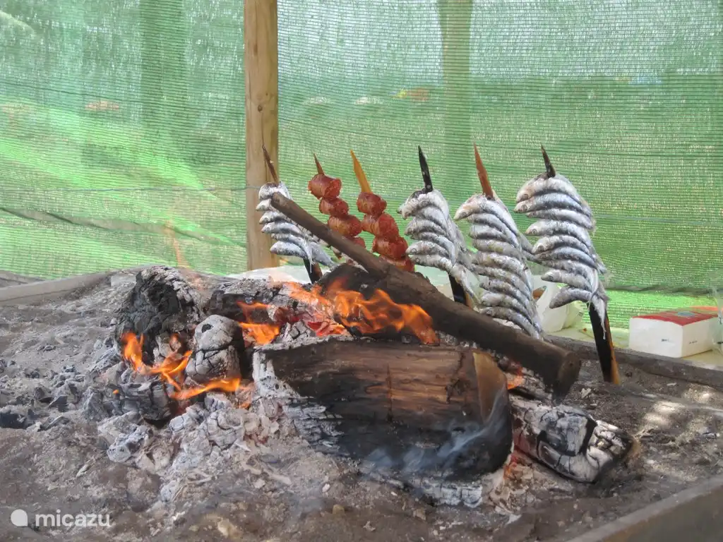 Die Sardinen frisch aus dem Meer