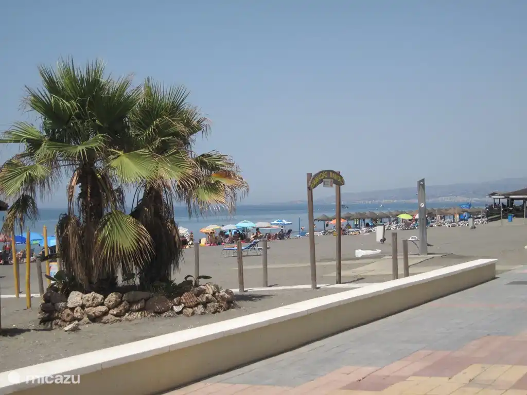 Strandbetten sind ausreichend zu vermieten