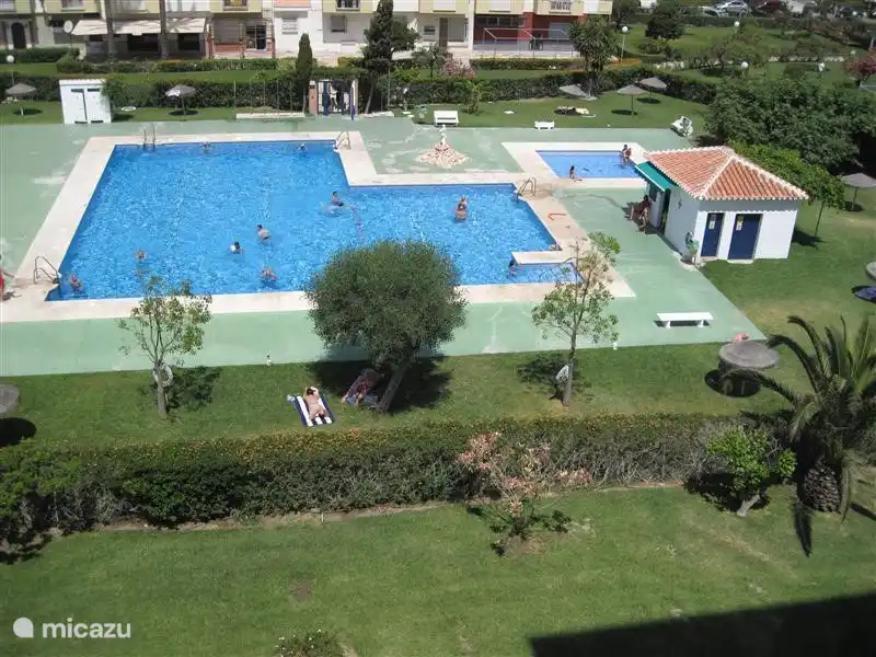 Großer Pool mit wunderschön gestalteten Gärten.