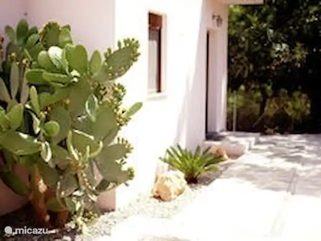 Villa Éléonore | Grèce, Crète, Prinès - villa Grand cactus devant la maison.