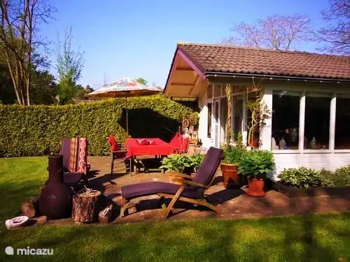 ferienhaus, Holten, Overijssel, Niederlande - De Bonte Specht (mit Sauna)