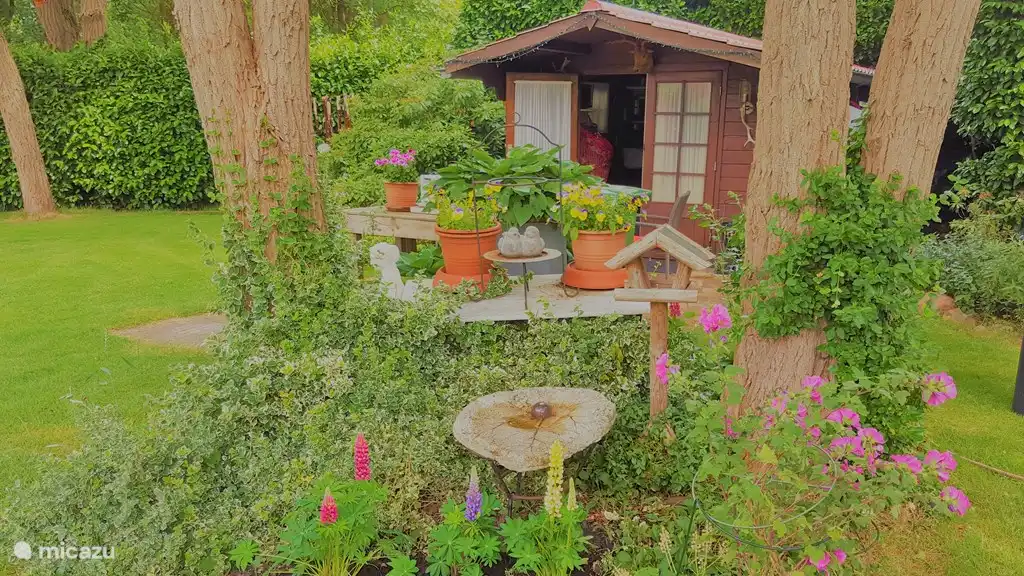 Garten mit Schuppen im Hintergrund