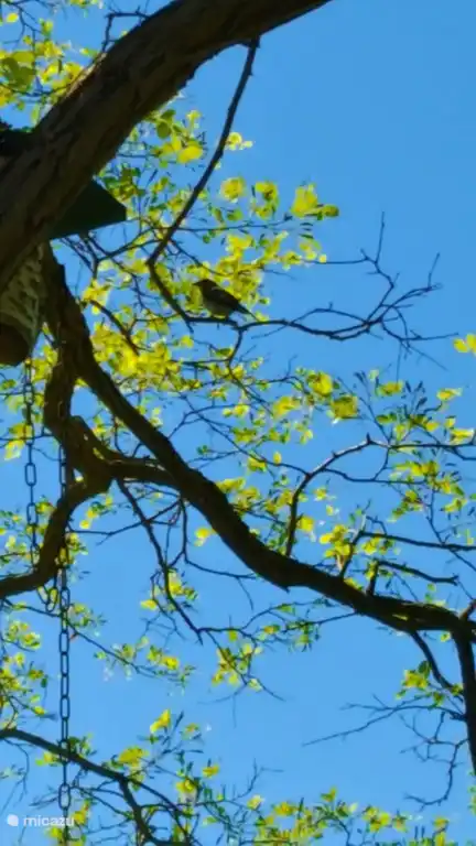 Suchen Sie ein Zuhause?