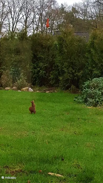 Ähm wie komme ich da hin?!?