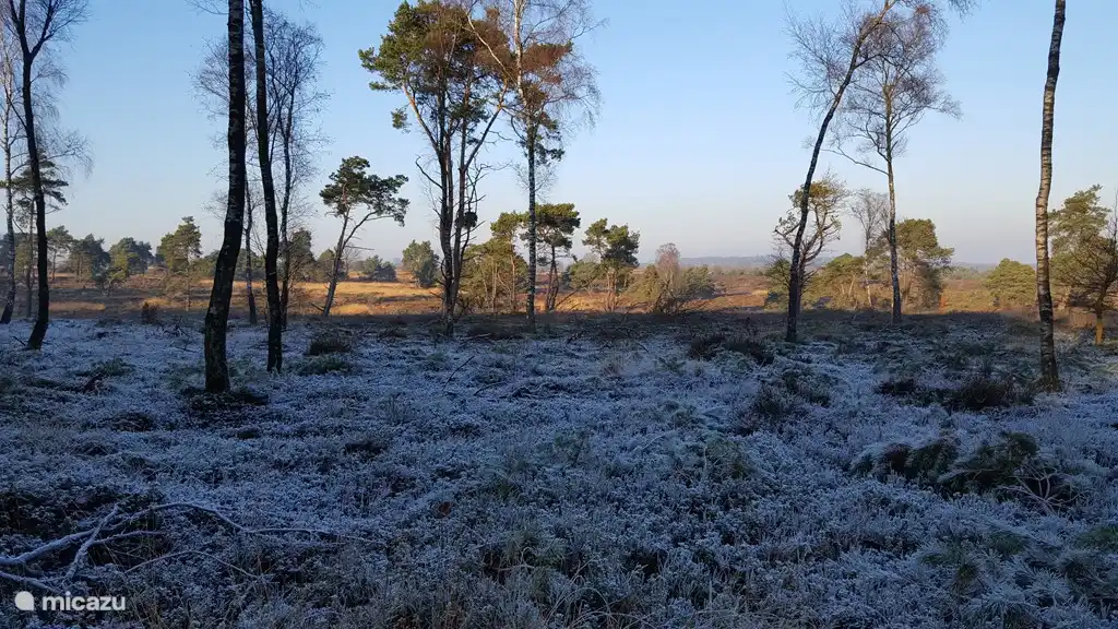 Holterberg Winterfoto