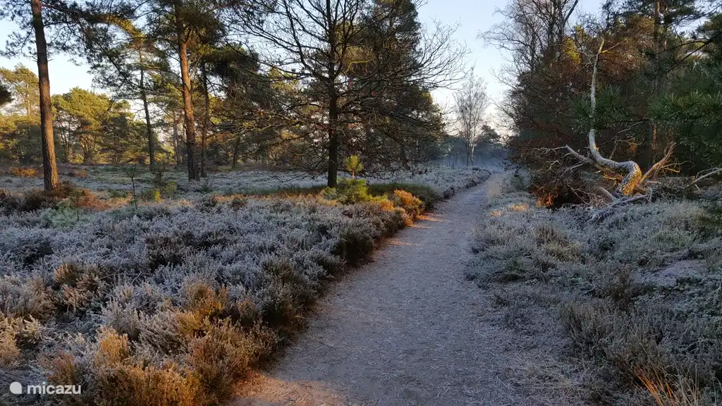 Wanderweg Holterberg Winter