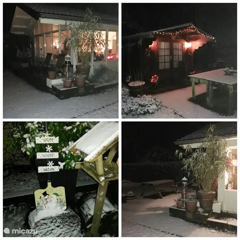 „Der Buntspecht“ bei Nacht